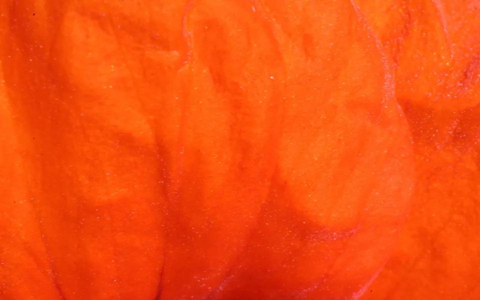 Nahaufnahme einer orangeroten Blütenblattoberfläche mit weichen Falten und feinen glitzernden Partikeln.