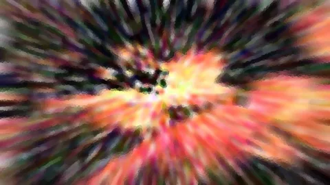 Abstrakte Komposition aus radial angeordneten Streifen in Orange, Rot, Gelb und Dunkelgrün, die zur hellen Mitte hin zusammenlaufen.