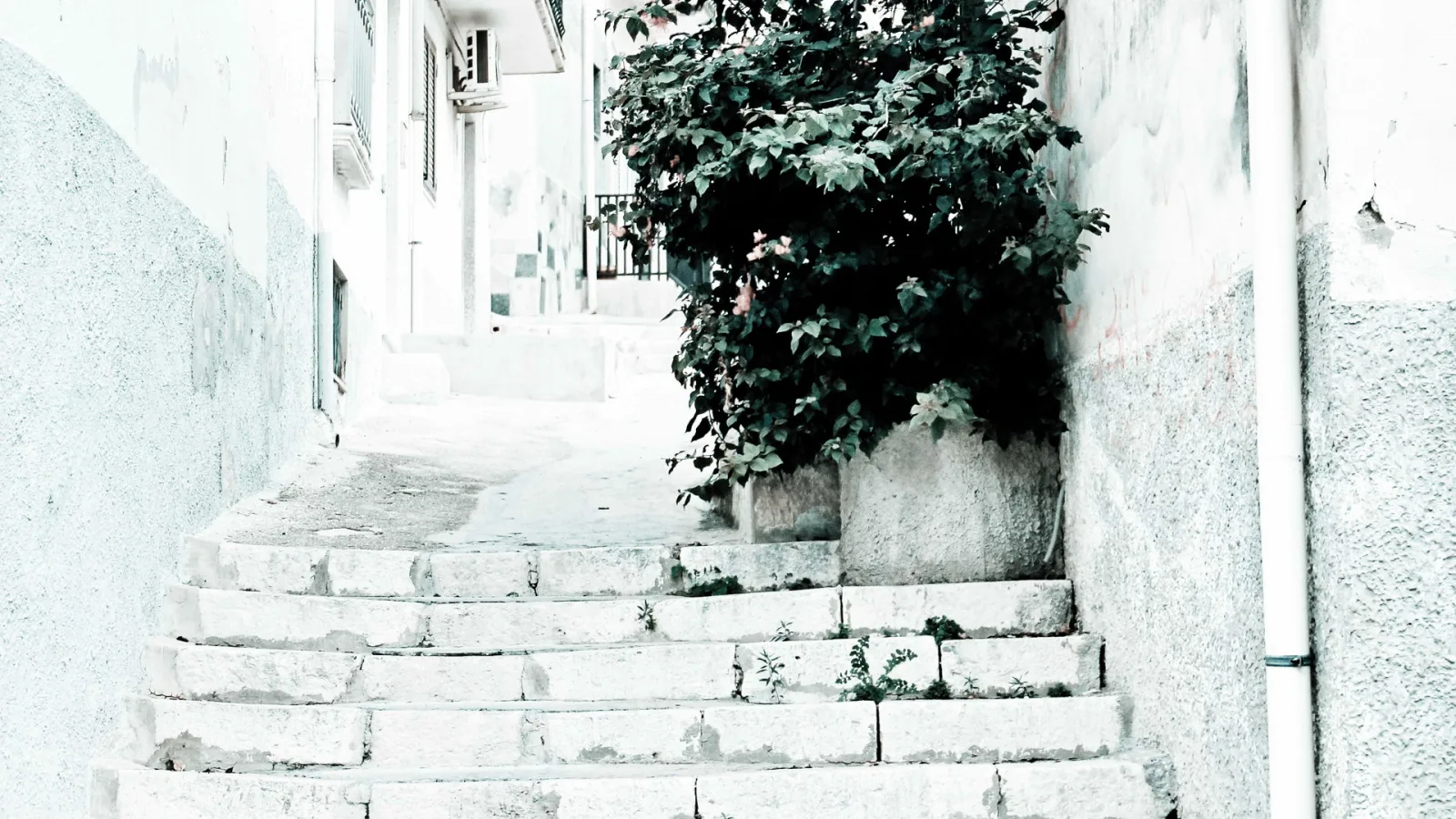 Steile Treppe aus hellem Stein führt durch eine schmale Gasse zwischen weiß verputzten Mauern, rechts wächst ein dichter Strauch über eine Mauer.