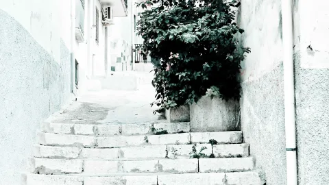 Steile Treppe aus hellem Stein führt durch eine schmale Gasse zwischen weiß verputzten Mauern, rechts wächst ein dichter Strauch über eine Mauer.