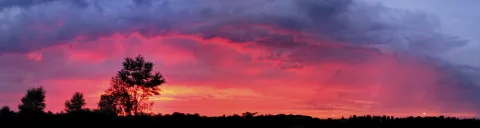 Panoramaaufnahme eines Sonnenuntergangs mit rot-pink leuchtenden Wolken und dunklen Baumsilhouetten am Horizont.