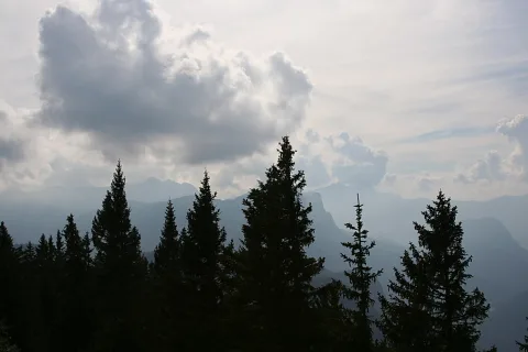Dunkle Tannenspitzen im Vordergrund, dahinter mehrere Bergzüge im Dunst unter einem bewölkten Himmel.