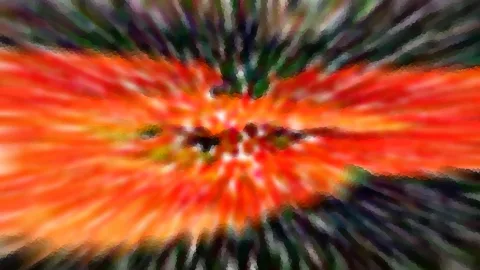 Abstraktes Bild mit radialer Unschärfe: eine orangerote Mitte, umgeben von dunklen grünen und violetten Streifen, die nach außen laufen.