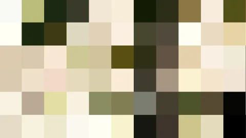 Raster aus quadratischen Farbfeldern in Beige, Oliv, Schwarz und Cremeweiß