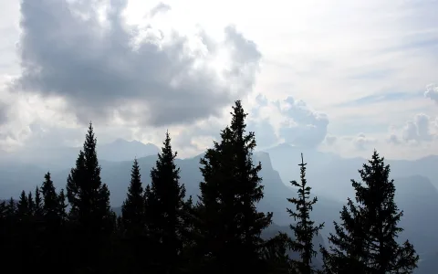 Dunkle Tannenspitzen vor hellem Wolkenhimmel und blassen Bergketten im Dunst