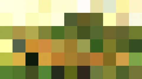Mosaik aus quadratischen Farbfeldern in Gelb, Grün, Braun und Schwarz, die ein unscharfes Muster ergeben.