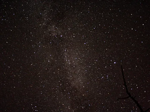 Sternenhimmel mit einem hellen Band der Milchstraße, im rechten unteren Bildrand ragt ein kahler dunkler Ast ins Bild.