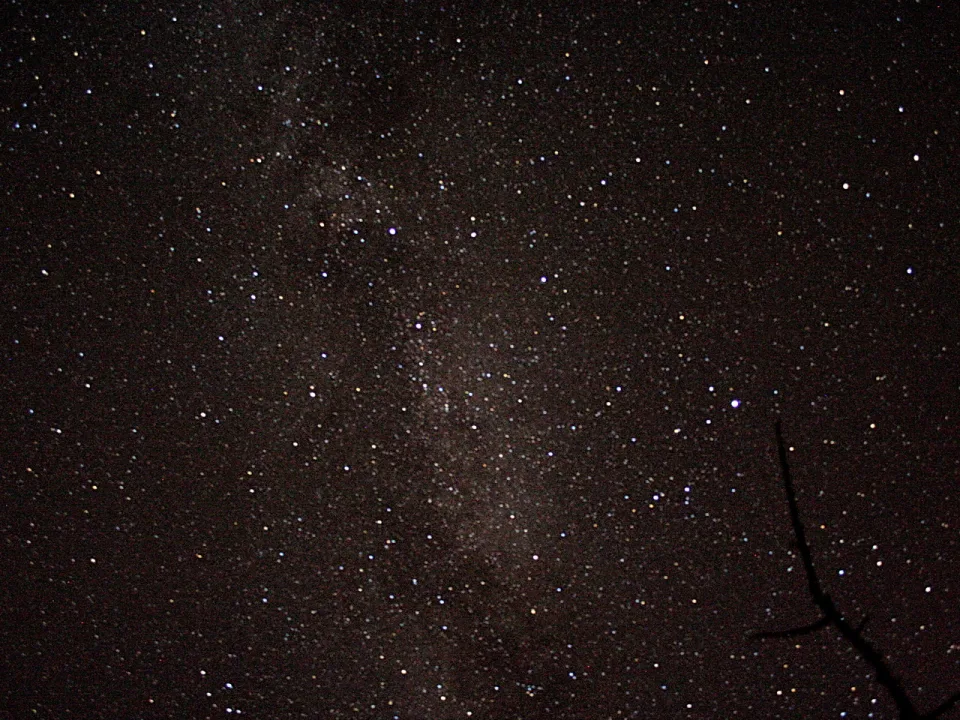 Sternenhimmel mit einem hellen Band der Milchstraße, im rechten unteren Bildrand ragt ein kahler dunkler Ast ins Bild.