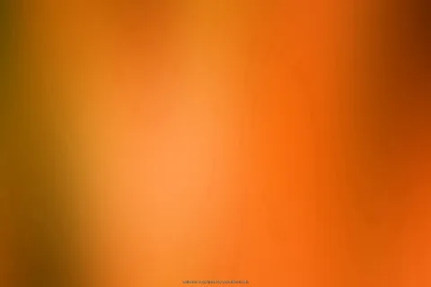 Unscharfer Farbverlauf in Orange und Rot, links dunkler Olivton, in der Mitte helles Orange, rechts dunkles Rotbraun.