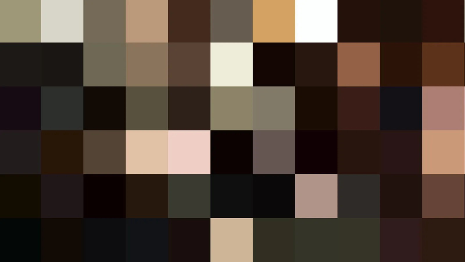 Rastermosaik aus quadratischen Farbfeldern in Braun-, Beige- und Schwarztönen, oben rechts ein helles Weiß und unten rechts einige hellere Hautfarbtöne.