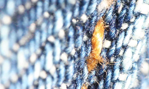 Nahaufnahme eines blauen Jeansstoffs mit sichtbarem Köperbindungsmuster; in der Bildmitte liegt ein orangefarbener Faserflusen quer über den Garnen.