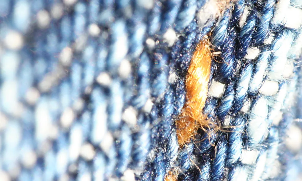 Nahaufnahme eines blauen Jeansstoffs mit sichtbarem Köperbindungsmuster; in der Bildmitte liegt ein orangefarbener Faserflusen quer über den Garnen.