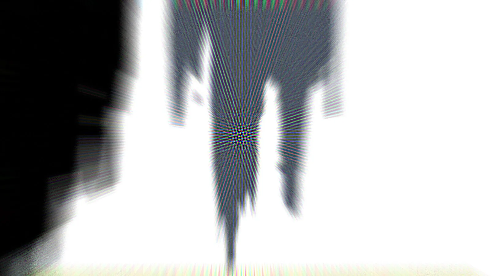 Schwarzweißes abstraktes Bild mit der gestreiften, verzerrten Silhouette einer stehenden Person in der Bildmitte, links schwarz, rechts weiß.