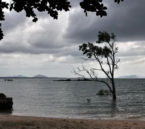 Ein einzelner kahler Baum steht im flachen Wasser vor einem Sandstrand, darüber hängen dunkle Gewitterwolken, am Horizont liegen Berge und links fährt ein Langschwanzboot.