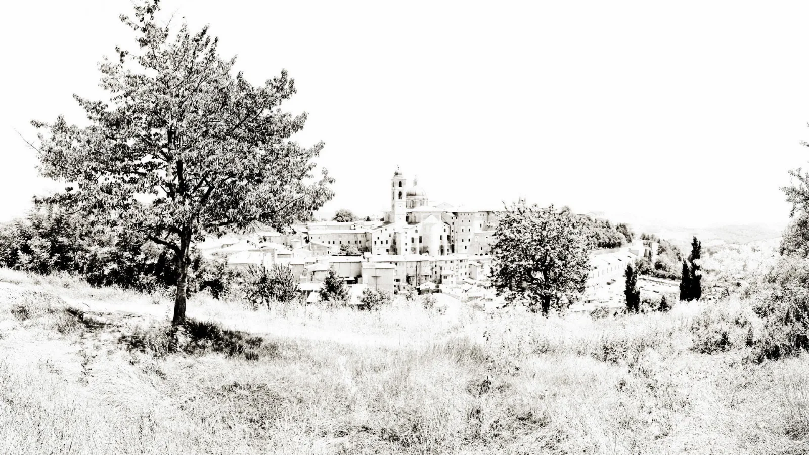 Schwarzweiß-Aufnahme einer hügeligen Stadt mit Kirchturm und Gebäuden, davor ein großer Baum und trockenes Gras.