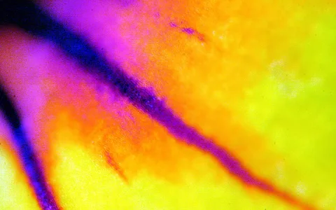 Makroaufnahme einer dunkelvioletten diagonalen Linie, die von links oben nach rechts unten über einen Farbverlauf aus Orange, Gelb und Magenta verläuft.
