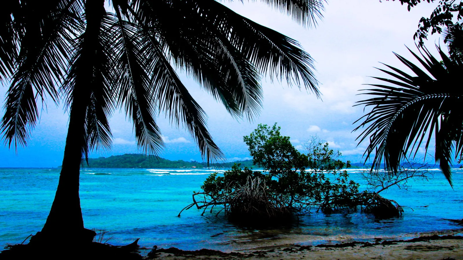 Dunkle Palmwedel rahmen links und rechts ein türkisblaues Meer ein, im Vordergrund ein Mangrovenbusch am Sandstrand, im Hintergrund eine bewaldete Insel unter bewölktem Himmel.