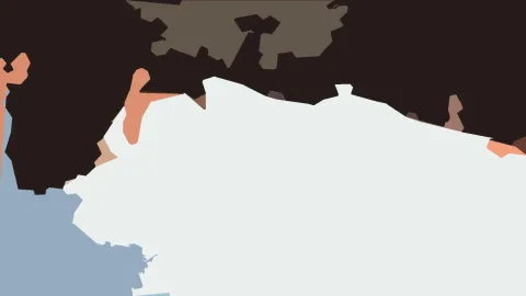 Flache, unregelmäßige Farbflächen in Dunkelbraun, Hellgrau, Lachsrosa und Blaugrau auf weißem Grund