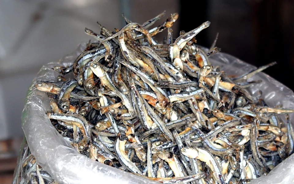 Ein durchsichtiger Plastiksack ist bis oben hin mit getrockneten kleinen Fischen gefüllt, die ungeordnet übereinanderliegen und silbrig schimmern.