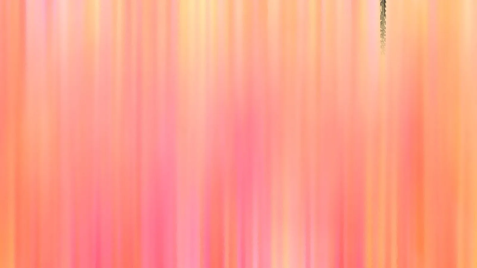 Abstrakte, vertikal verwischte Streifen in Rosa, Orange und Pfirsich, oben rechts ein kleiner dunkler Zweig.