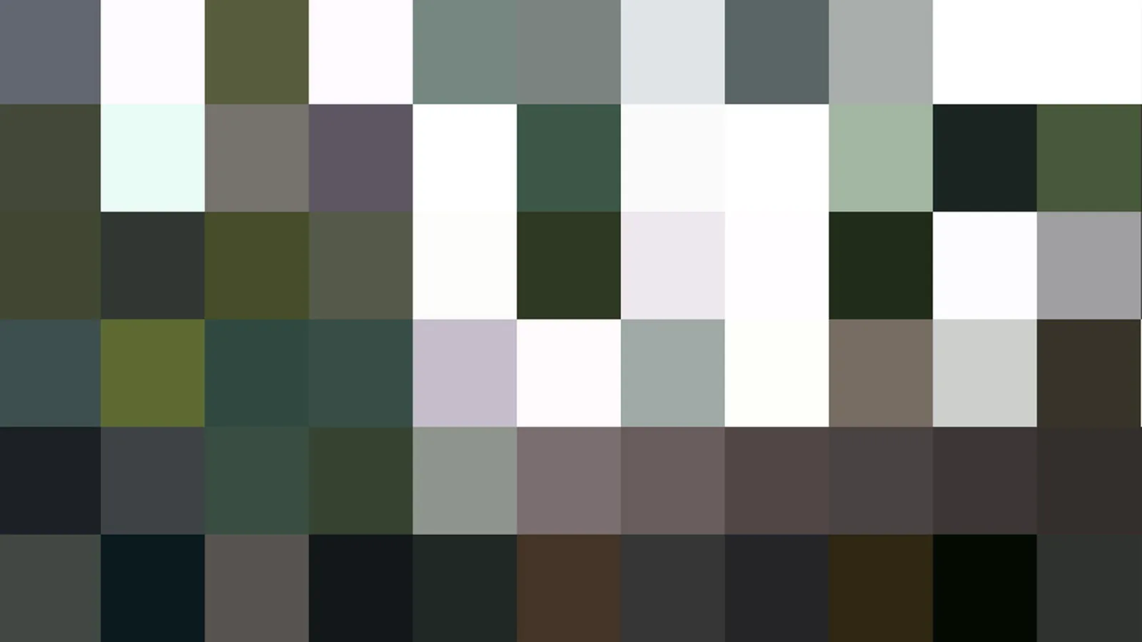 Rasterbild aus quadratischen Farbfeldern in Grau, Dunkelgrün, Schwarz und Weiß.