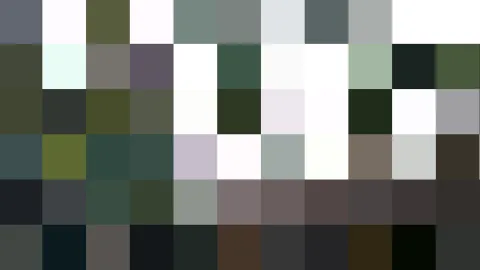 Rasterbild aus quadratischen Farbfeldern in Grau, Dunkelgrün, Schwarz und Weiß.