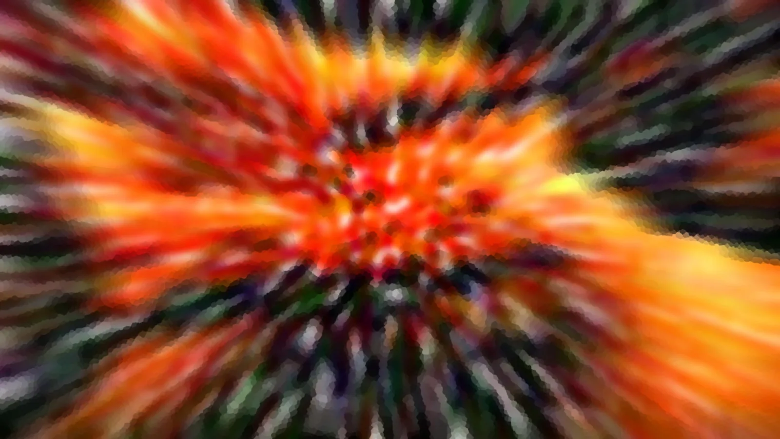 Abstrakte, radial verwischte Farbstrahlen in Orange, Rot und Gelb vor dunkelgrünem Hintergrund.
