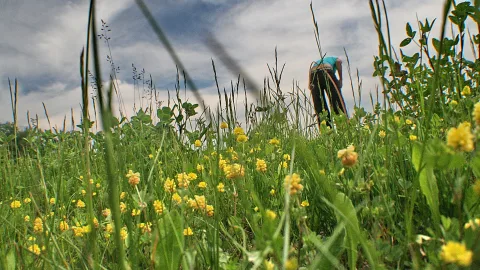 Niedrige Perspektive auf eine Wiese mit gelben Blüten und hohen Gräsern, im Hintergrund bückt sich eine Person in dunkler Hose und türkisfarbenem Oberteil unter bewölktem Himmel.