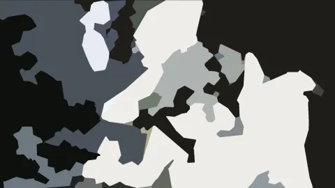 Abstraktes Bild aus unregelmäßigen schwarzen, weißen und grauen Flächen, die ineinandergreifen wie ein Tarnmuster.