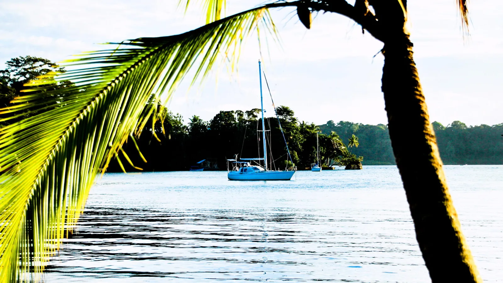 Ein weißes Segelboot ankert auf ruhigem blaugrünem Wasser vor einer bewaldeten Insel, im Vordergrund rahmt ein Palmwedel das Bild links ein und ein Palmstamm rechts.