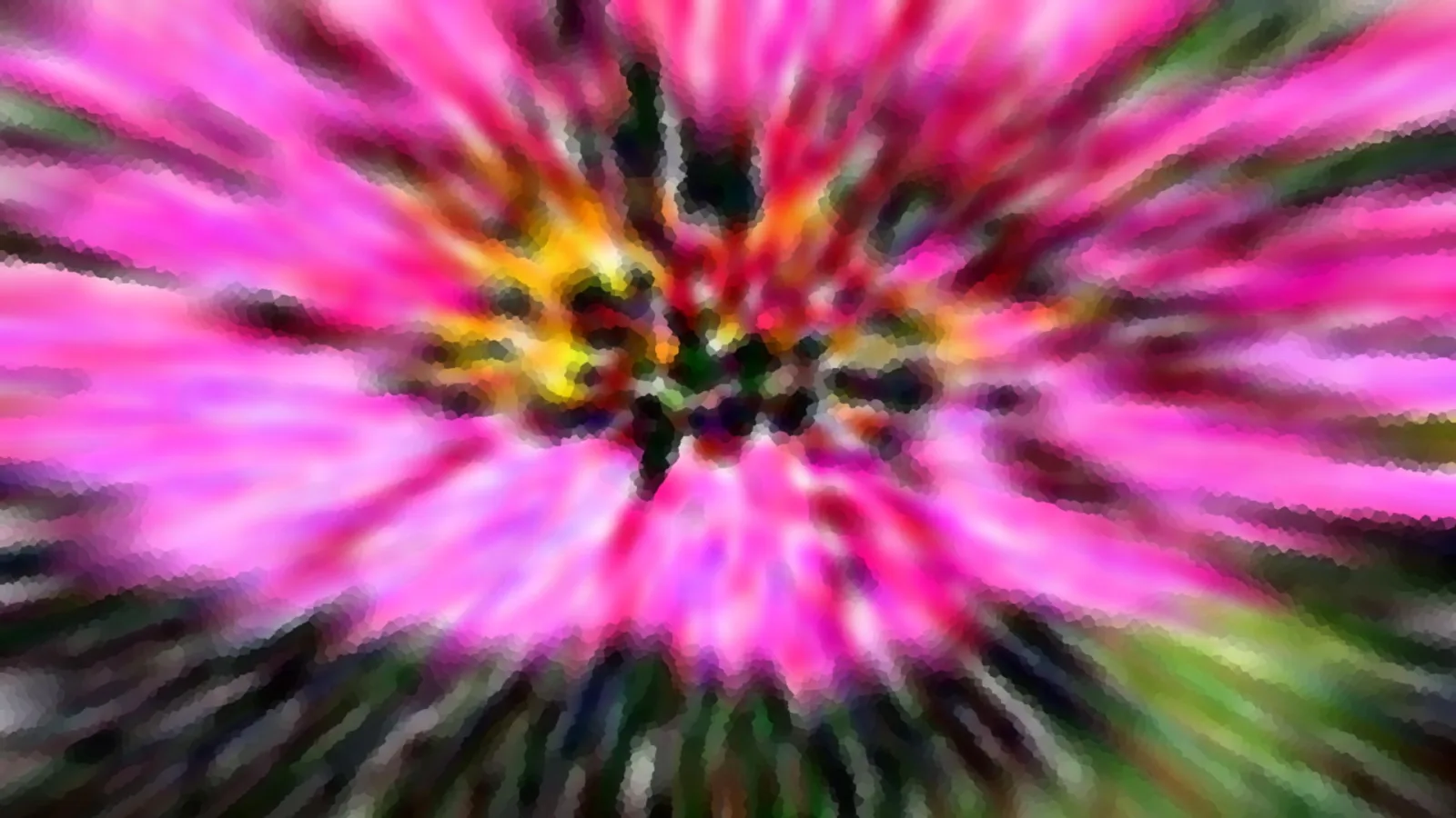 Abstrakte Aufnahme einer rosafarbenen Blüte mit gelber, dunkler Mitte, durch einen radialen Zoomeffekt verwischt.
