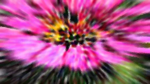 Abstrakte Aufnahme einer rosafarbenen Blüte mit gelber, dunkler Mitte, durch einen radialen Zoomeffekt verwischt.