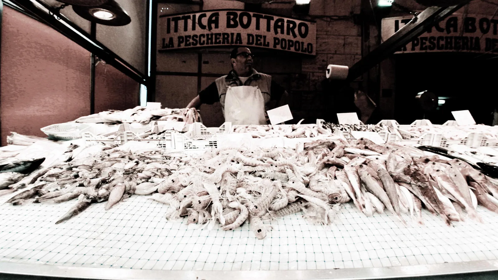 Ein Fischhändler steht hinter einem Stand, auf dem viele Fische und Tintenfische auf einer weißen Gitterauflage liegen. Über ihm hängt ein Schild mit der Aufschrift Ittica Bottaro, La Pescheria del Popolo.