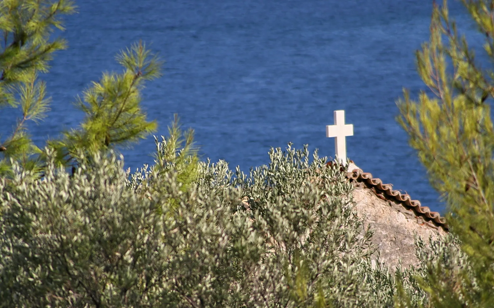 Ein weißes Kreuz auf einem Dach mit Ziegeln, davor Olivenbäume und Kiefernzweige, im Hintergrund blaues Meer.