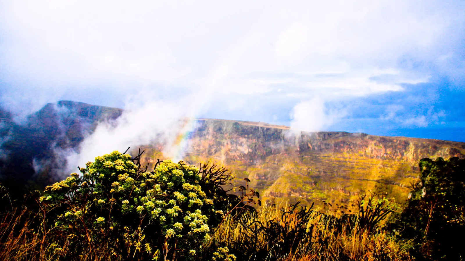 Steile, rotbraune Felswände einer Schlucht, aus der Nebel aufsteigt, davor ein Busch mit gelblich-weißen Blüten und trockenes Gras, im Nebel ein schwacher Regenbogen, darüber bewölkter Himmel.