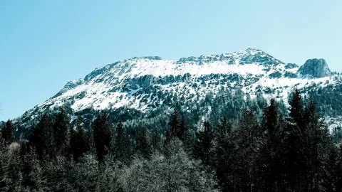 Ein schneebedeckter Bergkamm mit felsigen Graten ragt über einen dichten Nadelwald unter klarem, hellblauem Himmel.