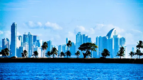 Hochhäuser der Skyline von Panama-Stadt hinter einer Uferpromenade mit Palmen und einem breiten Baum, davor blaues Meer unter hellblauem Himmel.
