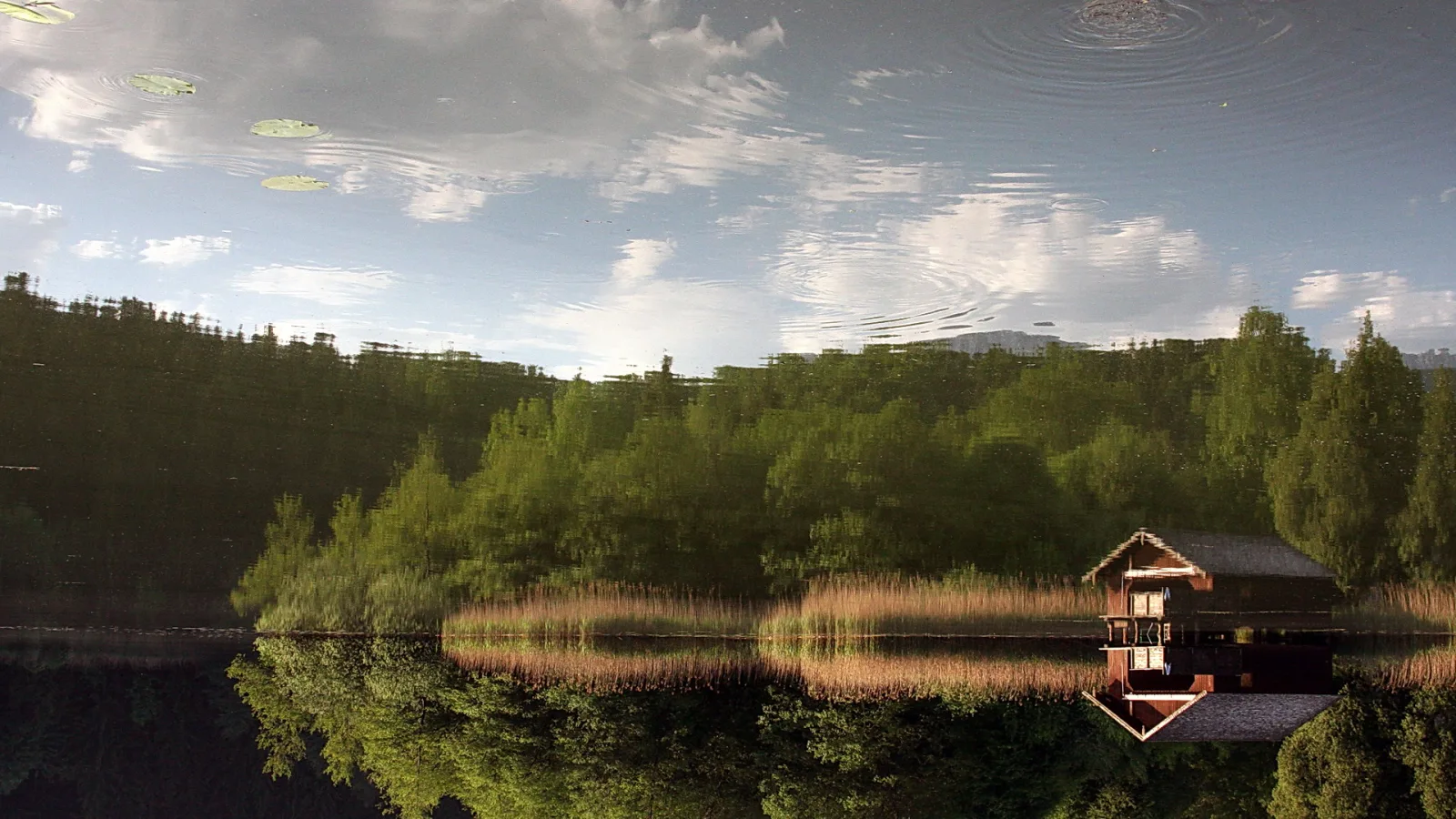 Ein rotbraunes Holzhaus auf Stelzen steht am Ufer eines Sees, darüber Schilf und Laubwald, und im ruhigen Wasser spiegeln sich Himmel, Wolken und Bäume. Links oben treiben Seerosenblätter.
