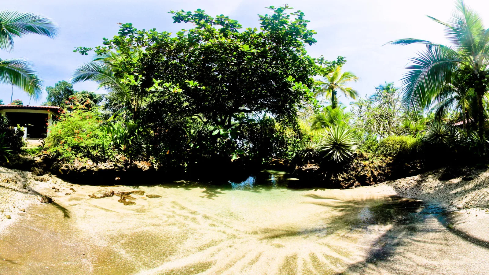 Flaches, klares Wasser in einer Lagune, umgeben von Palmen und dichtem grünem Gebüsch, auf dem hellen Sand liegen Palmenschatten.