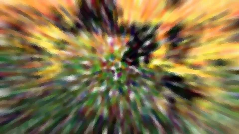 Abstrakte Komposition aus radial verlaufenden, verwischten Farbstreifen in Gelb, Orange, Grün und Dunkelbraun, die von einem Zentrum nach außen strahlen.