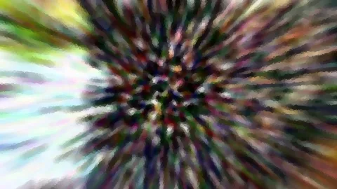 Abstrakte radiale Unschärfe mit bunten Streifen, die von einem dunklen Zentrum nach außen laufen, links verblasst in helles Weiß und Grün.
