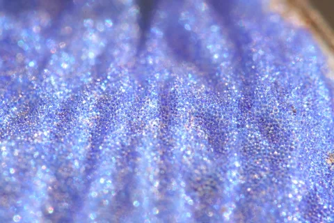 Nahaufnahme einer blau-violetten Oberfläche mit vielen kleinen glänzenden Punkten und welligen Furchen