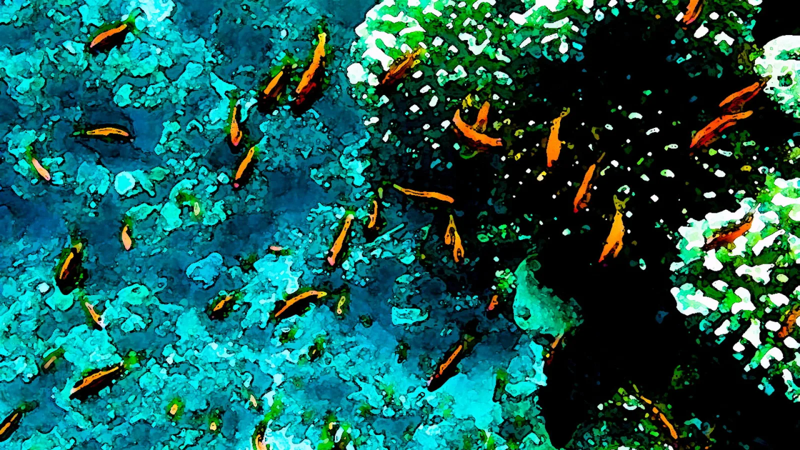 Viele kleine orangefarbene Fische schwimmen über einem türkisblauen Riff, rechts dunkle Tiefe mit hellen Korallenflecken.