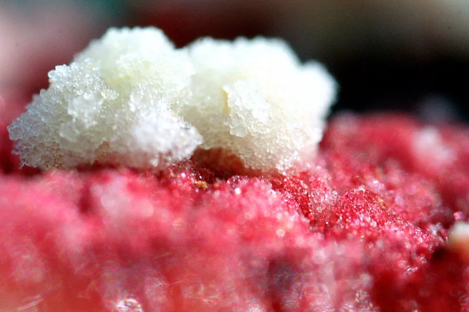 Makroaufnahme eines weißen, körnigen Kristallhaufens auf einer rot glitzernden, feinkörnigen Oberfläche.