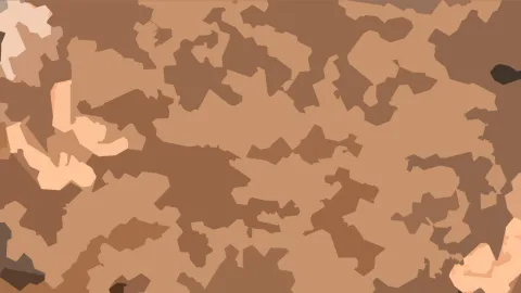 Abstraktes Muster aus braunen, beigen und hellen Flächen mit unregelmäßigen Kanten, ähnlich einer Tarnfarbe.