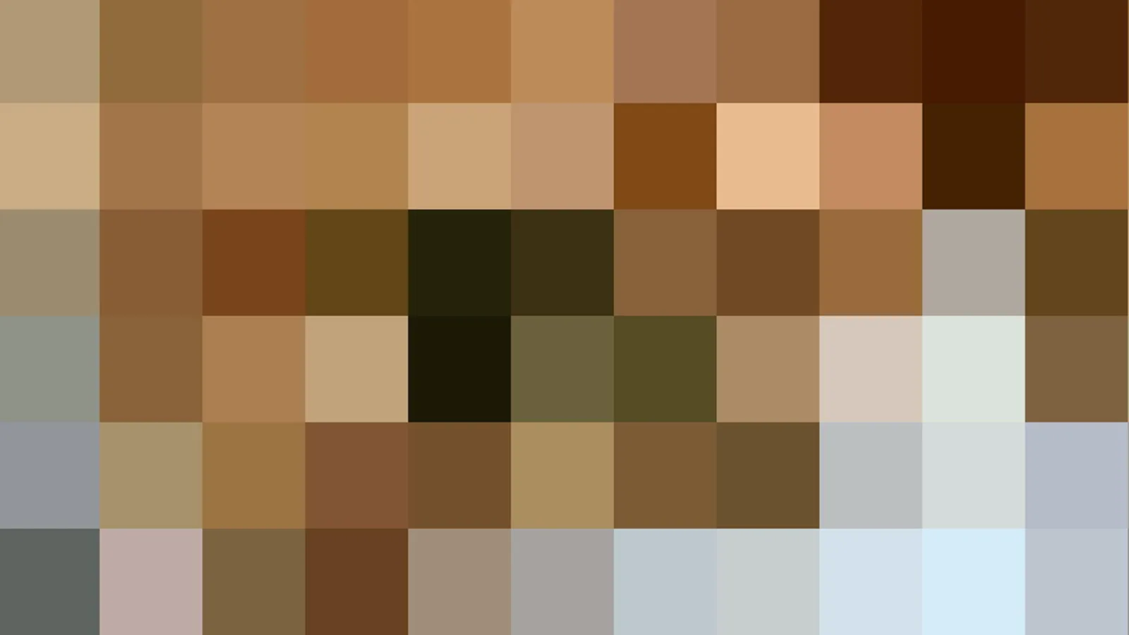Verpixeltes Mosaik aus braunen, beigen und graublauen Feldern in zehn Spalten und sechs Reihen, ohne klar erkennbares Motiv.