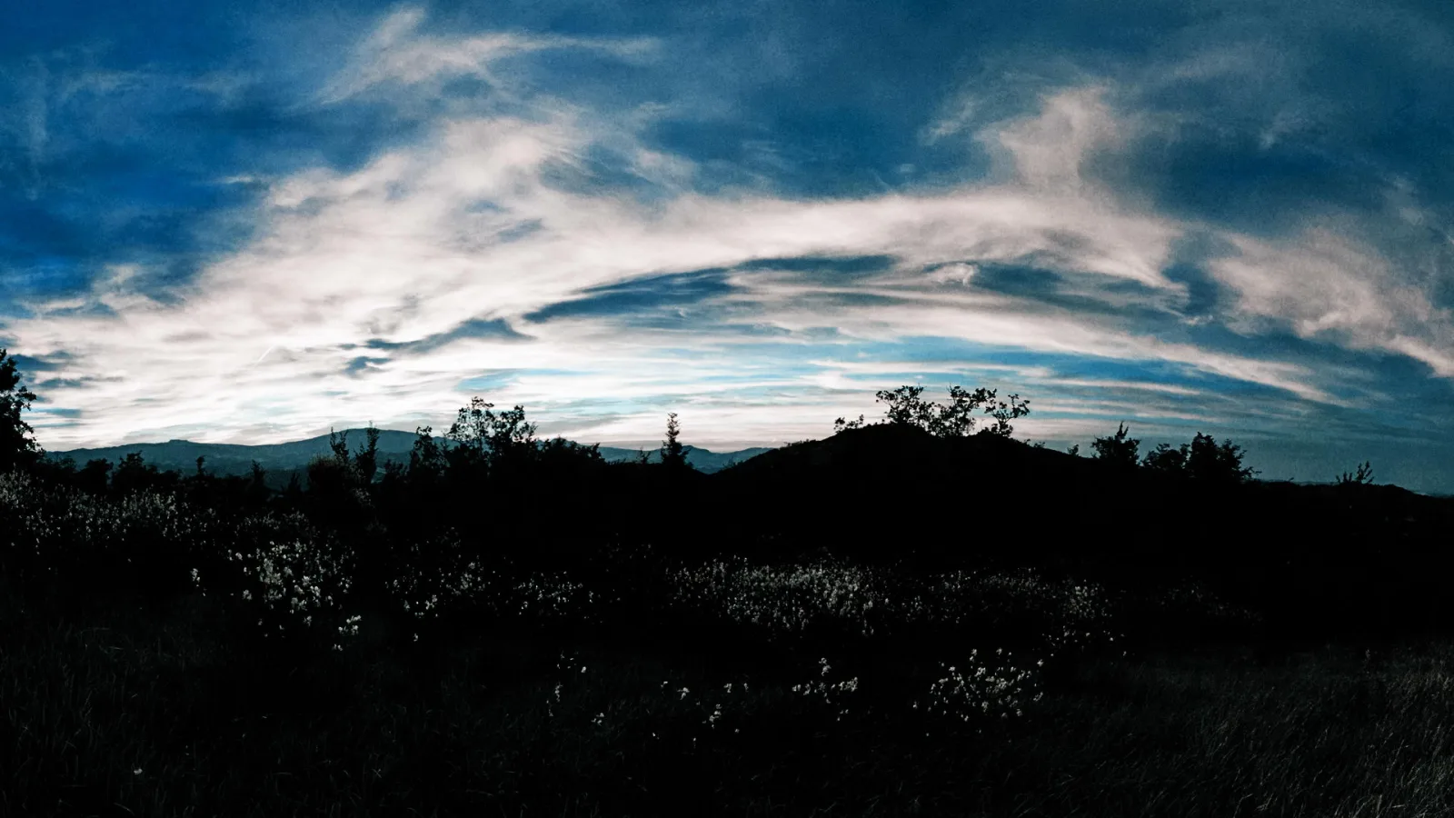 Dunkle Hügel und Sträucher unter einem blauen Abendhimmel mit geschwungenen weißen Wolken, im Vordergrund eine Wiese mit weißen Blüten.