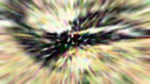 Abstrakte Komposition aus radialer Unschärfe mit dunklem Zentrum, umgeben von grünen, gelben und rosafarbenen Strahlen