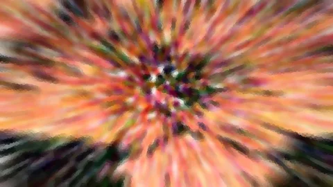 Abstrakte Komposition aus orangen, roten und grünen Farbstreifen, die von einem dunklen Zentrum radial nach außen strahlen.