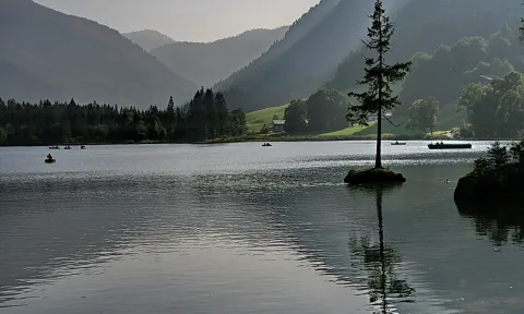 Eine schlanke Fichte steht auf einer kleinen bewachsenen Felseninsel in einem ruhigen Bergsee, dahinter bewaldete Berghänge im Dunst und einige Boote auf dem Wasser.